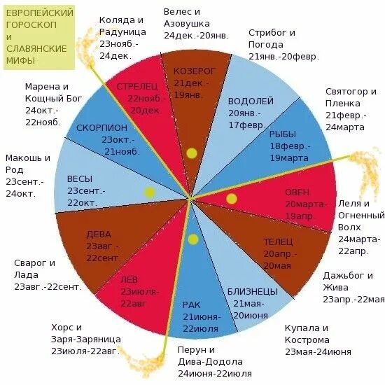 Гороскоп по славянскому календарю на 2024 год. Славянский календарь животных по годам таблица. славянский гороскоп. славянский гороскоп по месяцам. старославянский гороскоп.