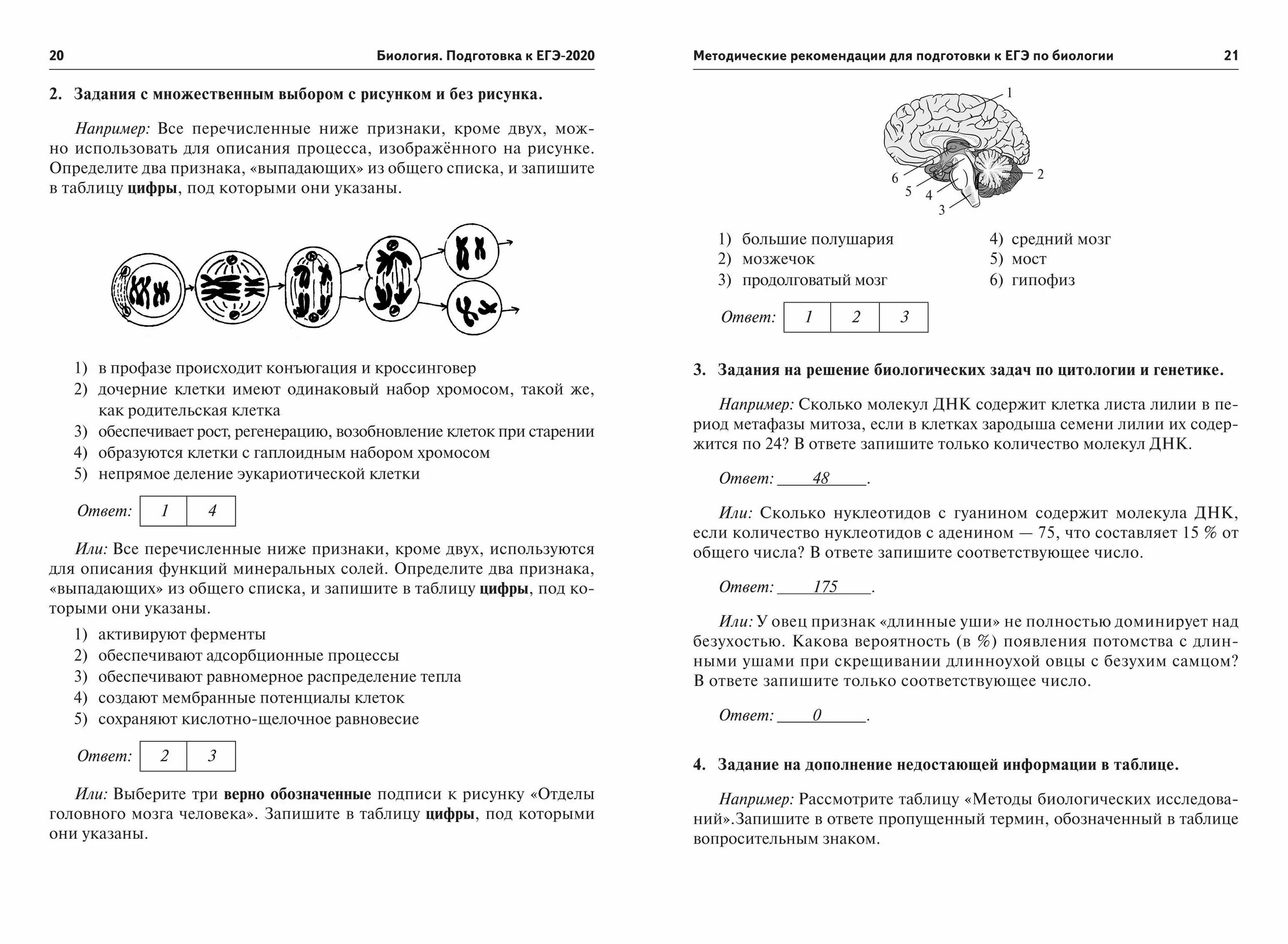 Егэ биология можно калькулятор. Демонстрационный вариант ЕГЭ биология 2020. Биология (ЕГЭ). ЕГЭ по биологии задания. ЕГЭ биология тесты.