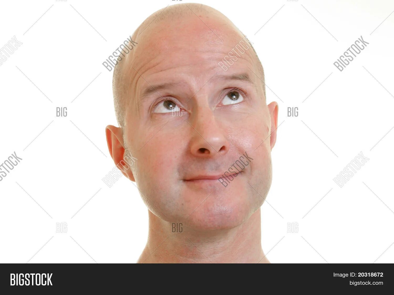 Is the head of