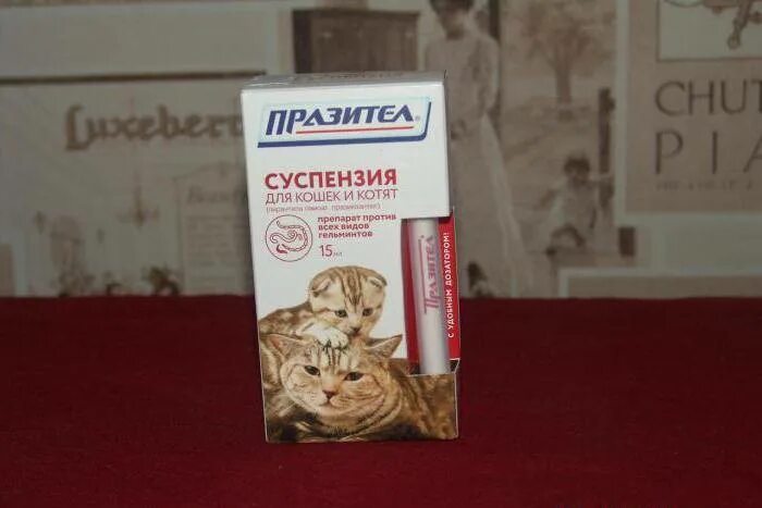 Когда котенку давать от глистов. Празител для котят суспензия. суспензия от глистов для котят. таблетки от глистов для кошек.