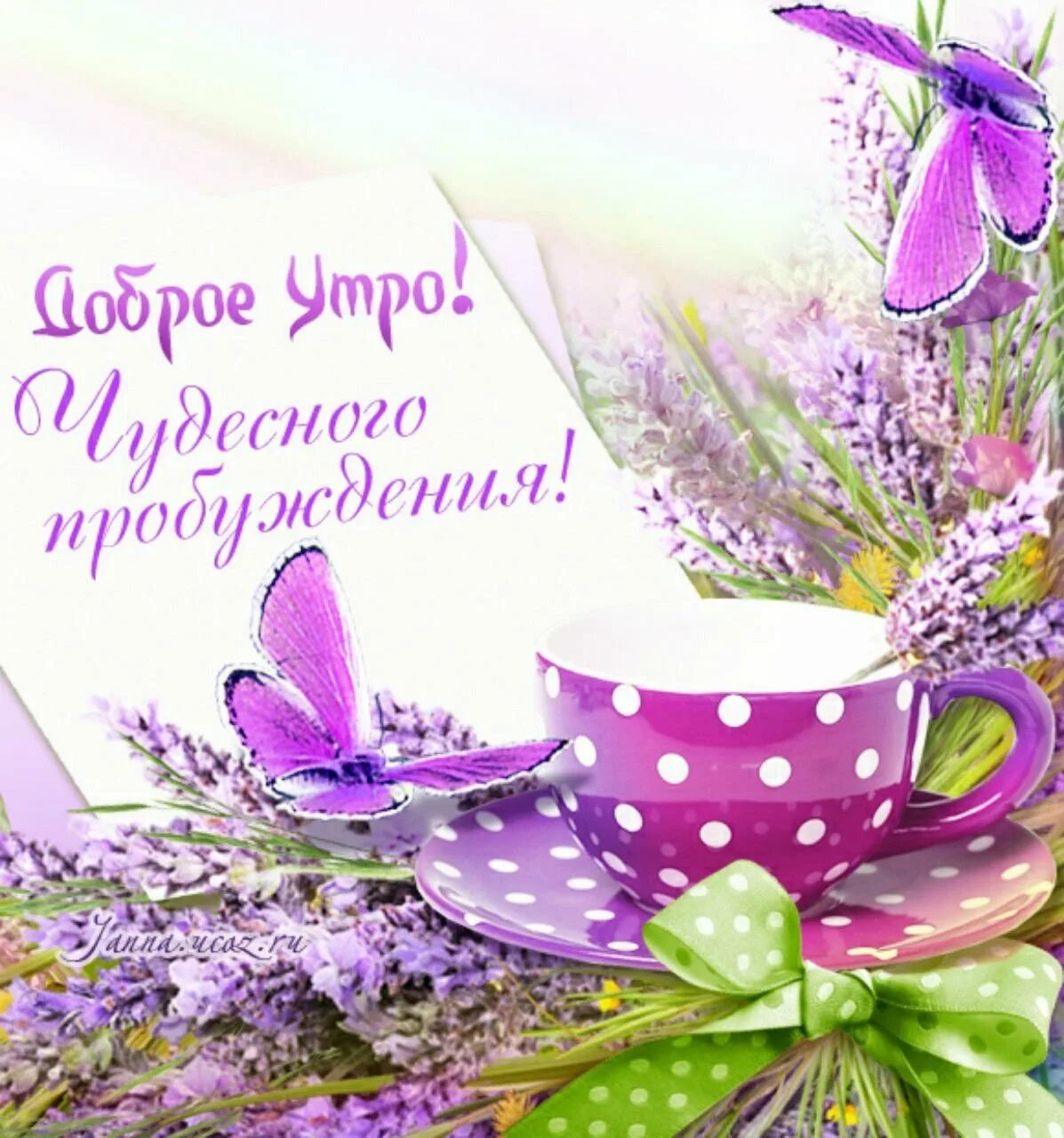 Доброе Весеннее утро. Пожелания доброго утра. С добрым утром Весна. С добрым весенним утром.