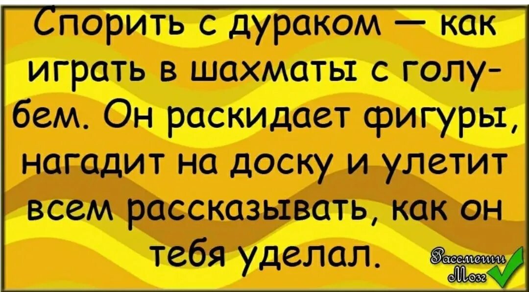 Спорить с дураком. Спорить с дураком все равно что играть в шахматы. Спорить с дураком цитаты. Спорить с глупцом афоризм.