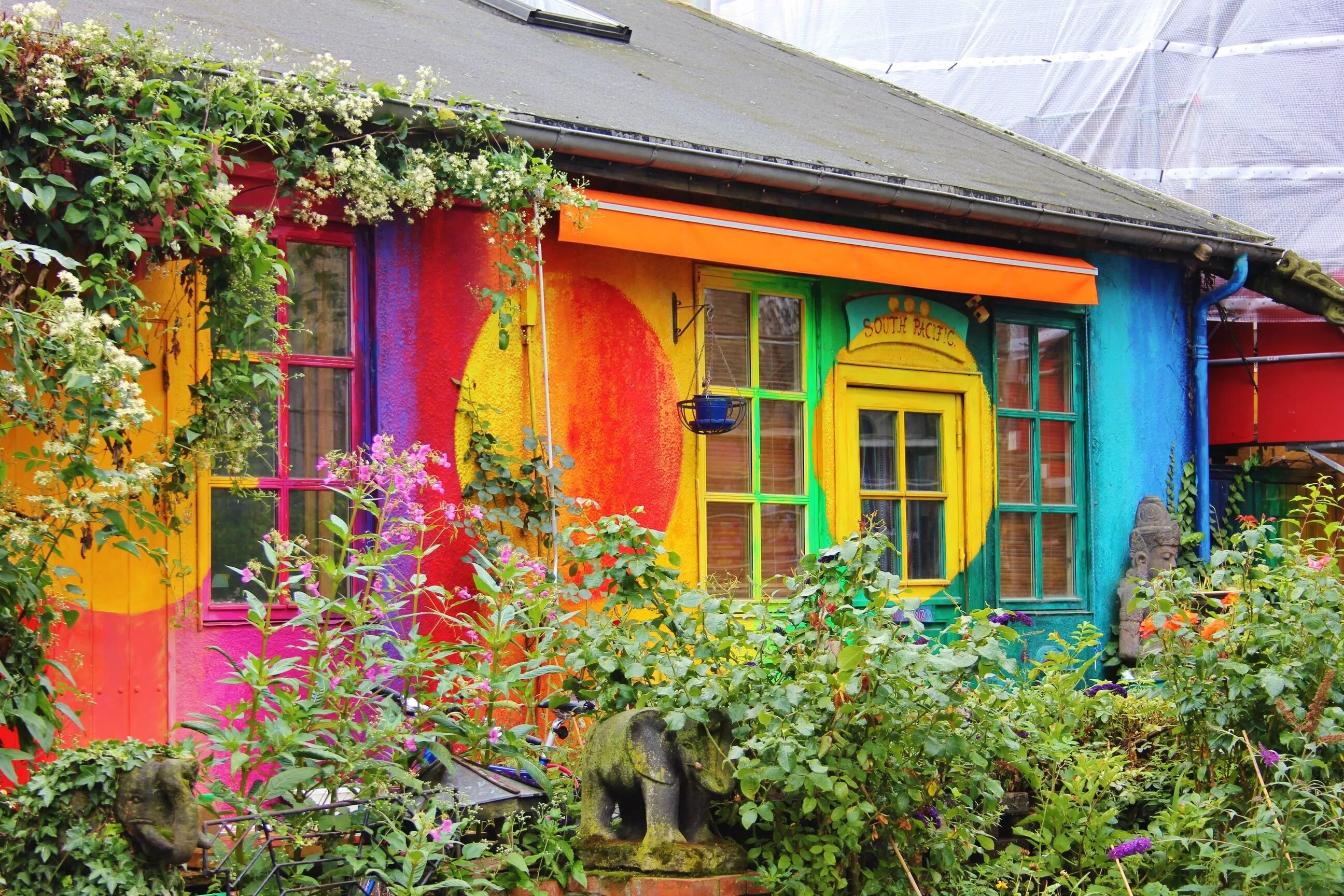 Разноцветный дом. Разноцветные домики. Разноцветный деревенский дом. Разноцветный дачный домик.