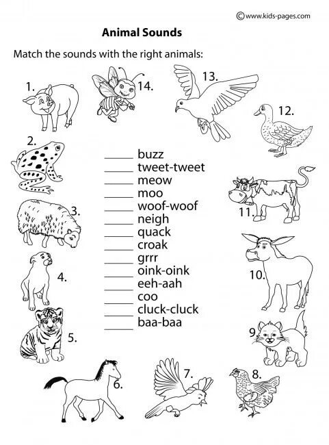 Animals раскраска English Worksheet. Задания для детей англ яз animals. Животные на английском для детей задания. Задания по английскому для дошкольников.