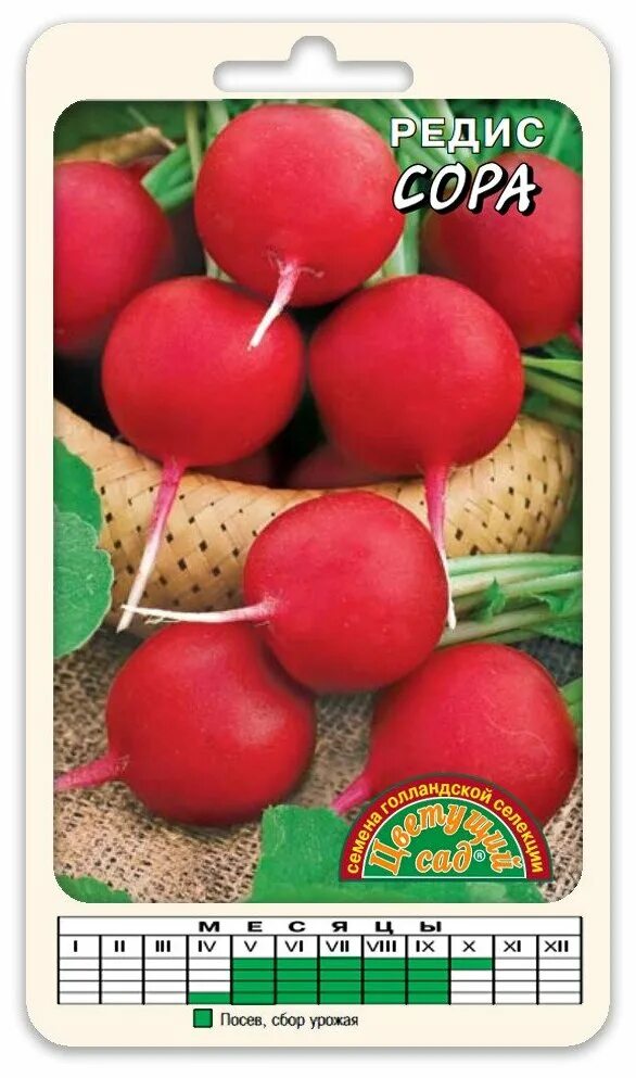 лучшие сорта голландской селекции. цветная капуста сорта голландской селекции. редис роксана f1. томат суперприз f1. лучшие сорта голландской селекции.