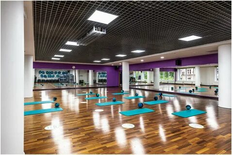Монарх xfit