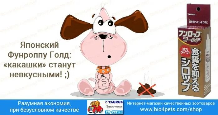 Собака ест экскременты причины и что делать