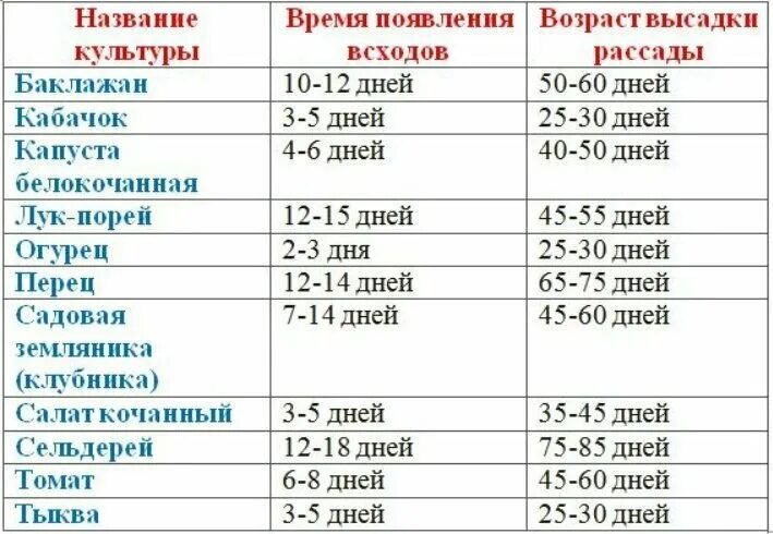 Что можно посадить в феврале на рассаду. Оптимальный возраст рассады для высадки на постоянное место. когда начинают высаживать рассаду. время сеять. сроки высадки глодиолүсов.