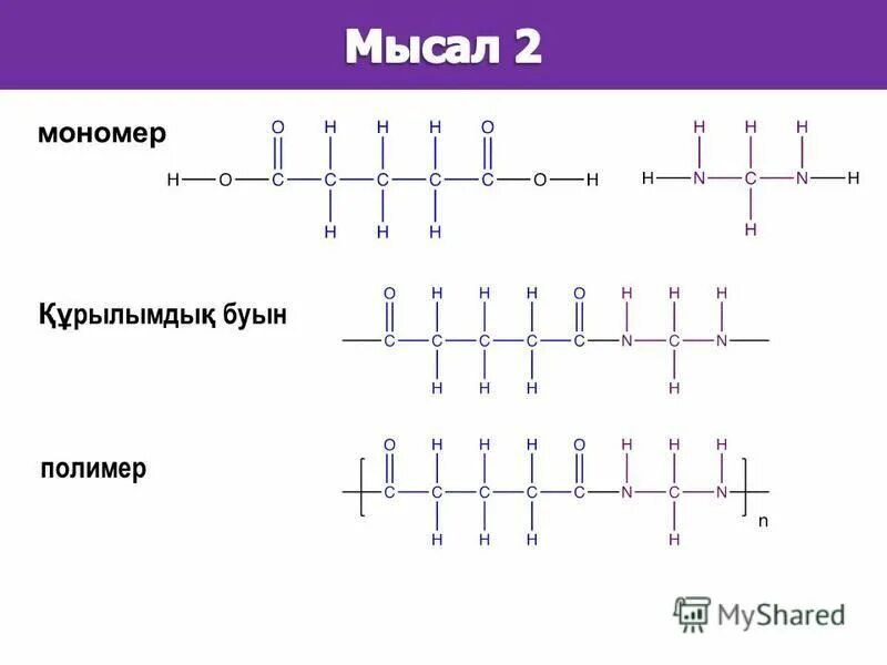 Соответствие между полимерами и мономерами. Соответствие между полимерами и мономерами