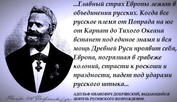 Европа пляшет на костях. Пушкин животных утоляя страх. Животный утоляя страх времен двенадцатого года. Пушкин стих животный утоляя страх.