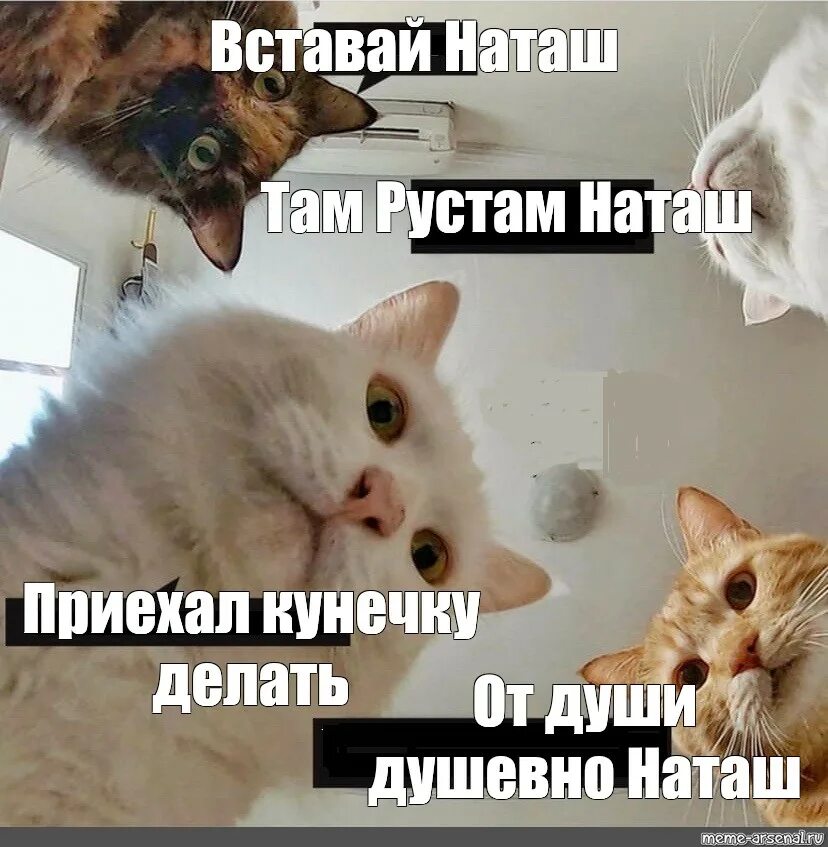 Ну вот и поговорили. Спасибо за внимание. Открытка хорошо погулять. Скучали по мне. Ну когда уже картинки.