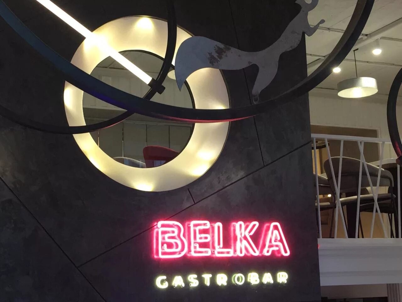 Belka ул революции 24. Белка бар Москва Петровка. Гастробар белка. Belka Gastro Bar Москва. Белка бар Астрахань.