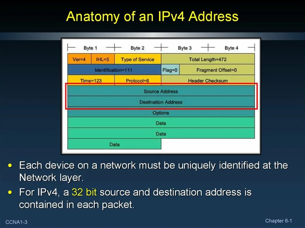 Сколько ipv4. Ipv4 address. Ipv4 IP address. 4 Байта в IP. Типы адресов ipv4.