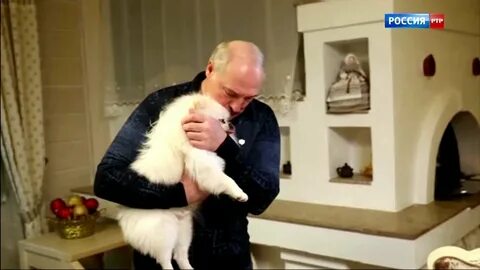 Умка лукашенко фото