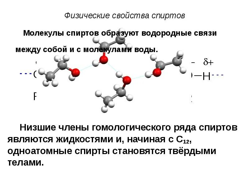 Между молекулами спиртов образуются связи. Карбонильные соединения со спиртами. Водородная связь в спиртах. Между молекулами спирта и воды образуются водородные связи. Гомологический ряд карбонильных соединений.