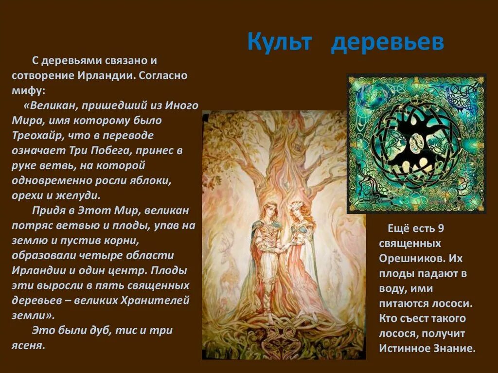 Западноевропейская мифология. Культ дерева. Почитание деревьев. Культ природы. Слово культовый