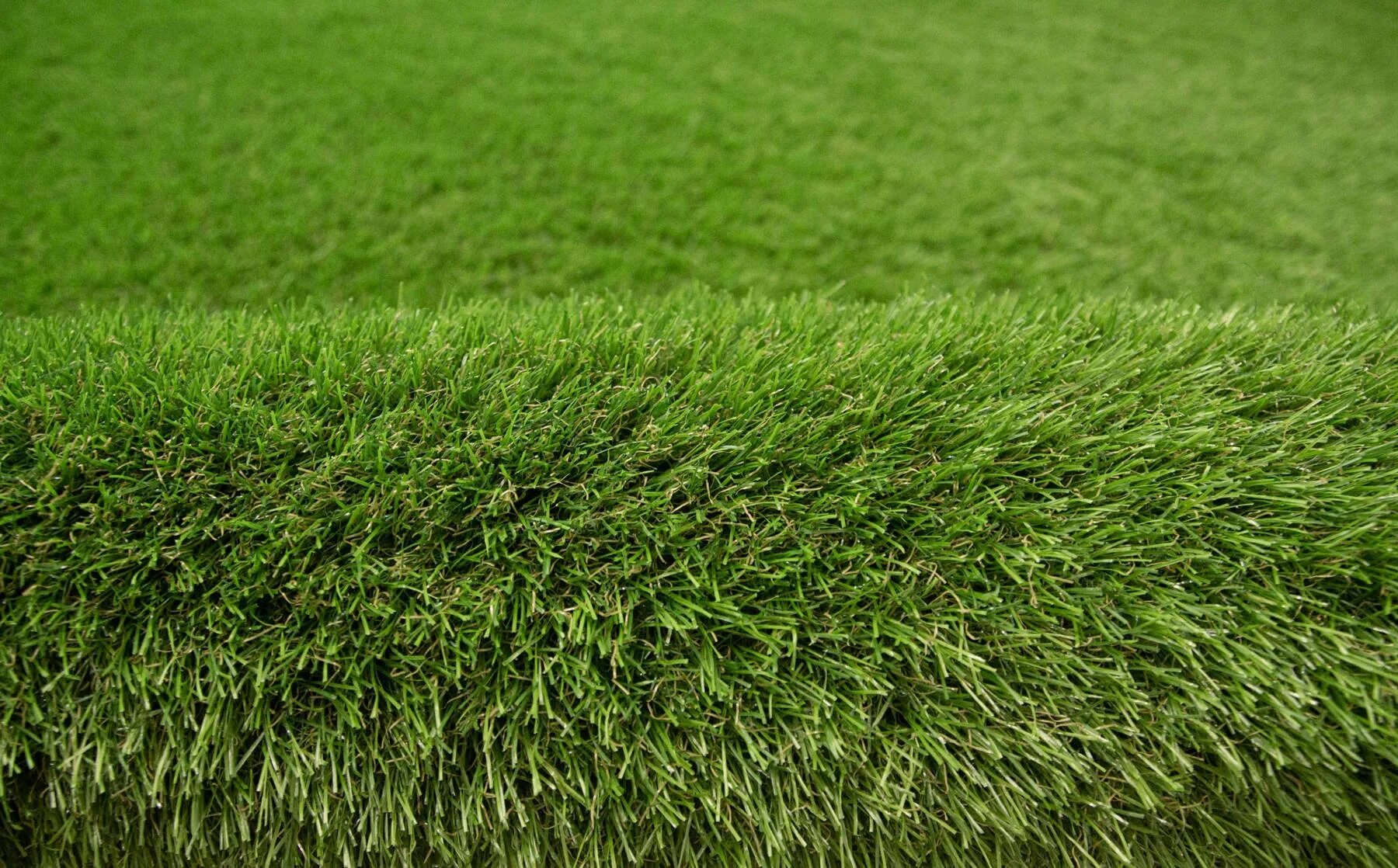 Grass carpet