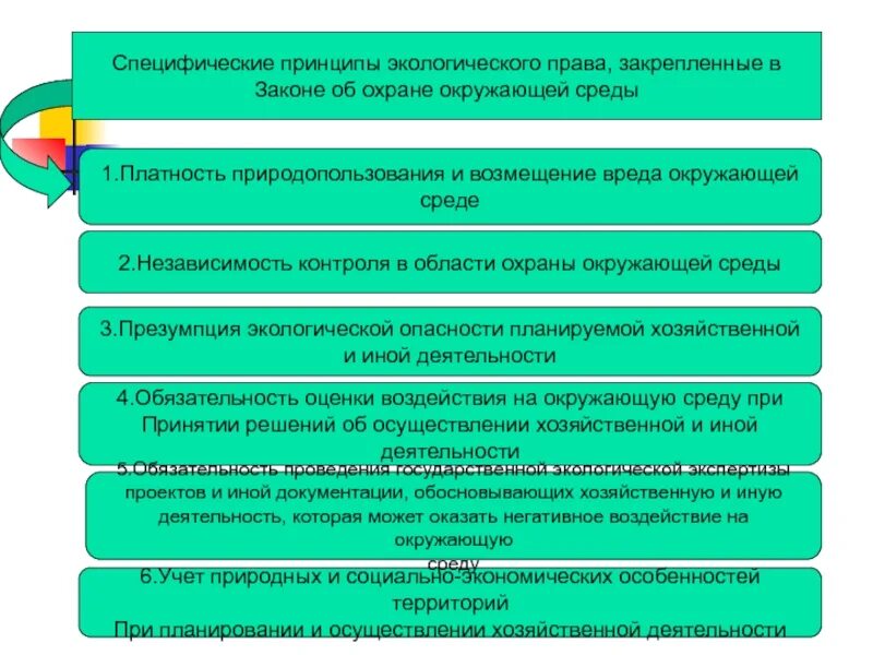 Принцип охраны окружающей среды является принципом. Принципы экологического права. основные черты экологического права. принципы экологического права специфический принцип. независимость контроля в области охраны окружающей среды.