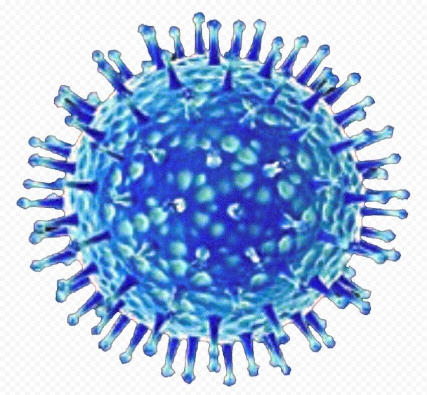 Virus. Вирус гриппа influenza virus. Вирус и трип. Молекула гриппа. Клетка гриппа.