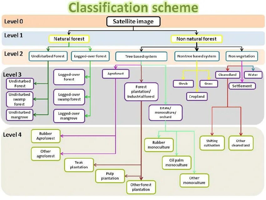 Classification examples. Scheme. архитектуры image classification. классификация icps.