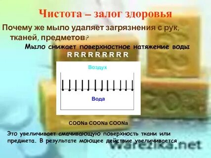 Почему мыло удаляет жир