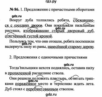Инструкция по русскому языку 7 класс