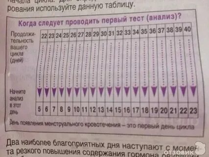 Через сколько будет 23 год