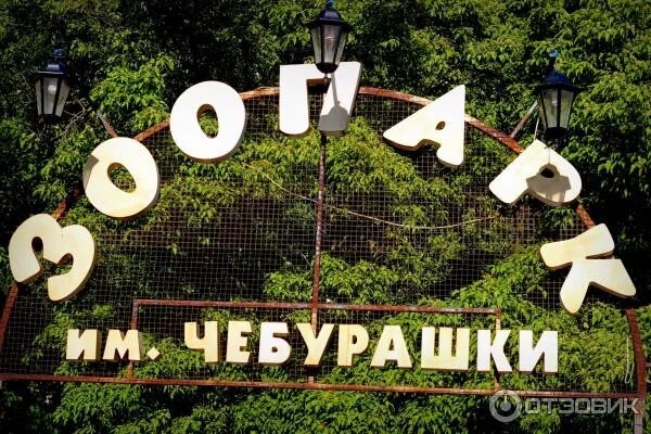 Зоопарк им чебурашки санкт петербург. Зоопарк имени чебурашки санкт-петербург. зоопарк имени чебурашки. зоопарк имени чебурашки на крестовском.