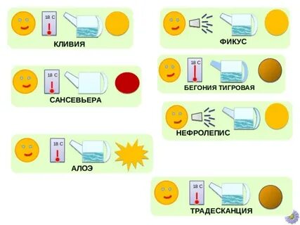 Маркировка цветов в детском саду