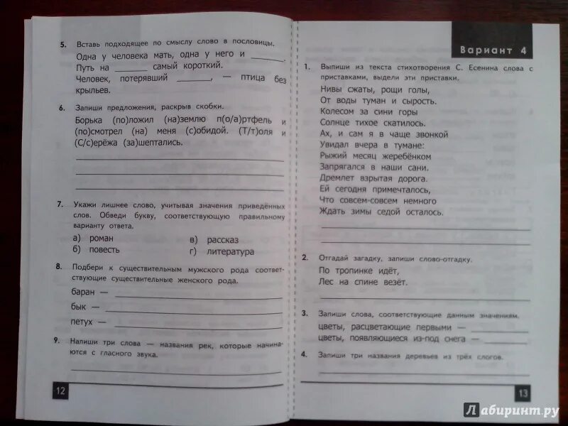 Олепьяды по русскому языку 3 класс. Олимпиадные задания по русскому языку 3 класс. Олимпиадные задания 3 класс русский язык. Школьный тур по русскому языку