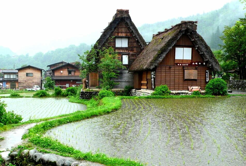 Japanese village. Сиракава-го деревня. Сиракава-го Япония. Деревня Ширакава. Историческая деревня Сиракава-го. Япония.