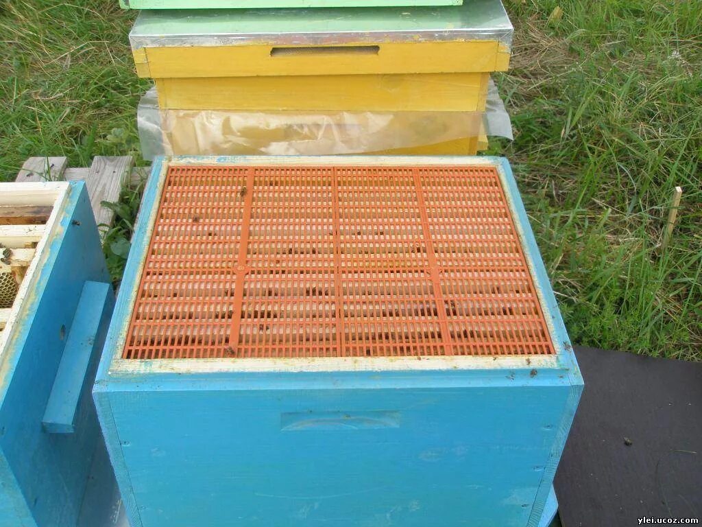 Купить решетки для пчел. Ганемановская разделительная решетка для пчел. Ганемановская решетка многокорпусный улей. Ганемановская решетка для пчел на 12 рамок. Разделительная сетка для пчел.