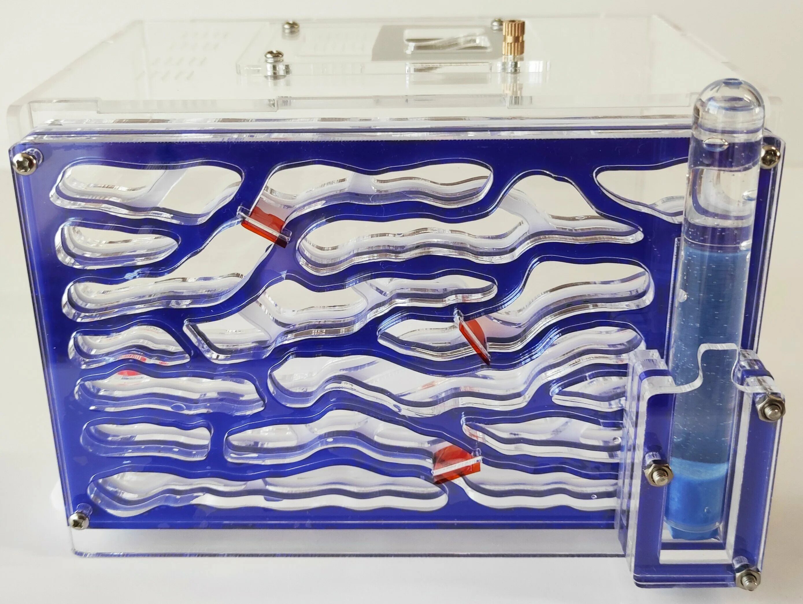 Муравьиная тропа. Ant city. Top ant муравьиные фермы. Муравьиная ферма фото. Ant city.