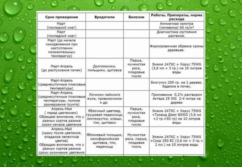 Актара на литр воды. Схема удобрения плодовых деревьев. Весенняя обработка ягодных кустарников от болезней и вредителей. График обработки яблонь. Схема опрыскивания плодовых деревьев весной.