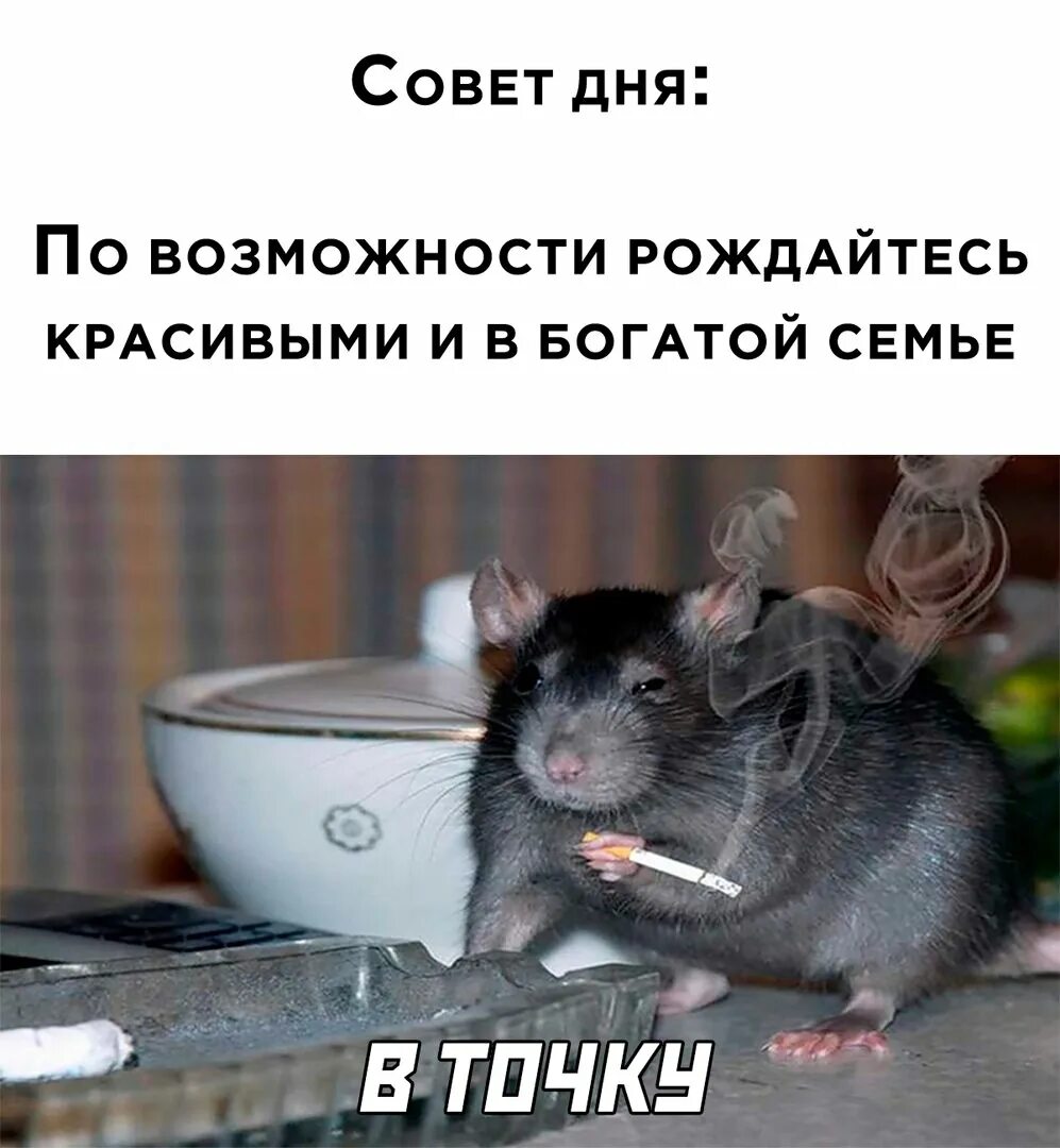 Родиться в богатой семье. Афоризмы трампа. Родиться в богатой семье. Бизнес юмор в картинках. Острые козырьки ребенок томаса и грейс.