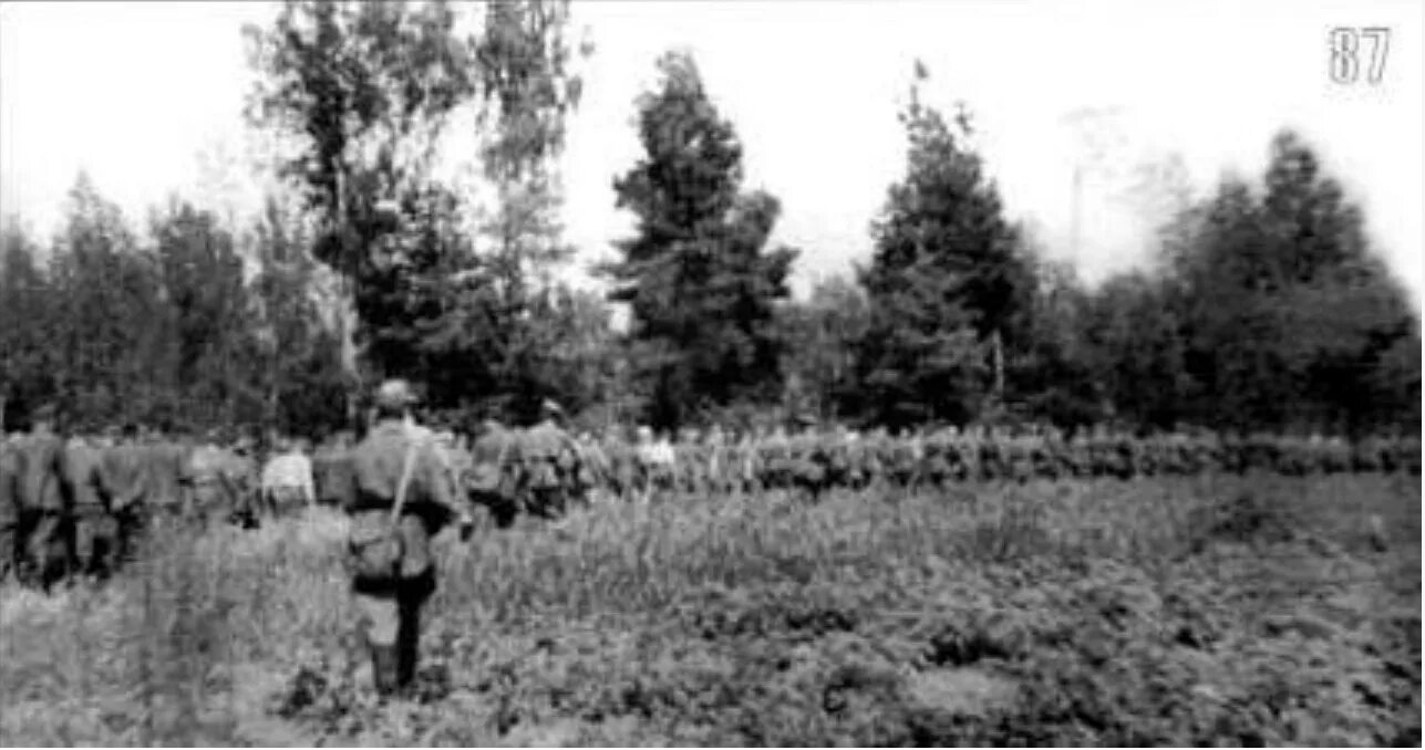 Москва на осадном положении 1941. 1941 год 19 сентября. Смоленская операция 1943. Битва за смоленск 1941. 1941 год 19 сентября.