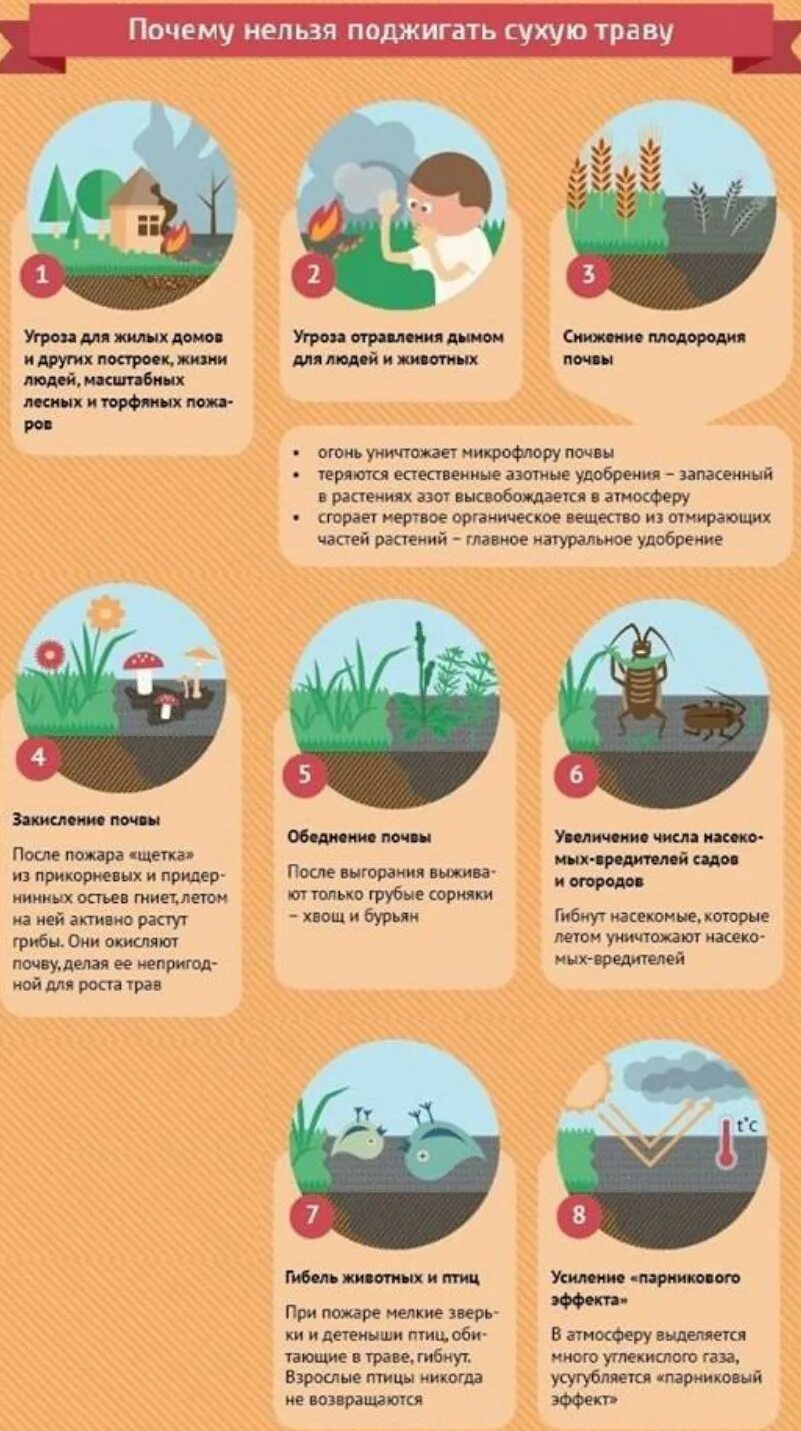 Нельзя рвать цветы. Почему растения нельзя. Почему растения нельзя. Нельзя сухую траву. На какие группы делятся вещества.