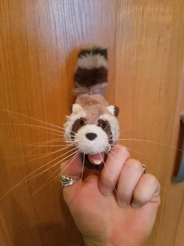Делаем кошке усы. Игрушки с кошачьими усами. кошачьи усы для поделок.