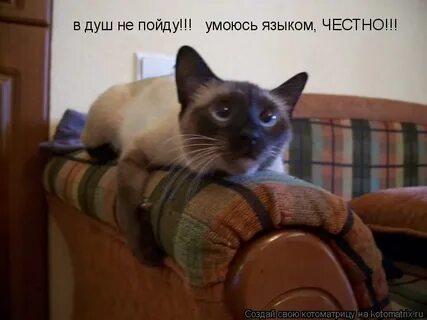 Мы сейчас пойдем