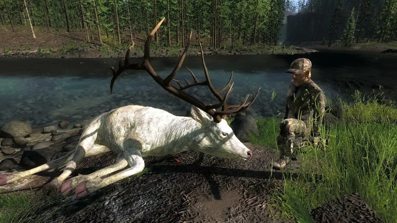 лось в рдр 2 на карте. Red dead redemption 2 deer. олень вапити rdr 2 на карте легендарный. Red dead redemption 2 лось. Red dead redemption 2 олень вапити.