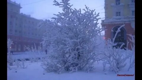 Мороз крепчал