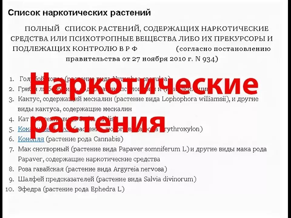 растения содержащие наркотические. запрещенные растения в рф список. растения и цветы запрещенные в детском саду. статья 231. перечень растений запрещенных к культивированию.