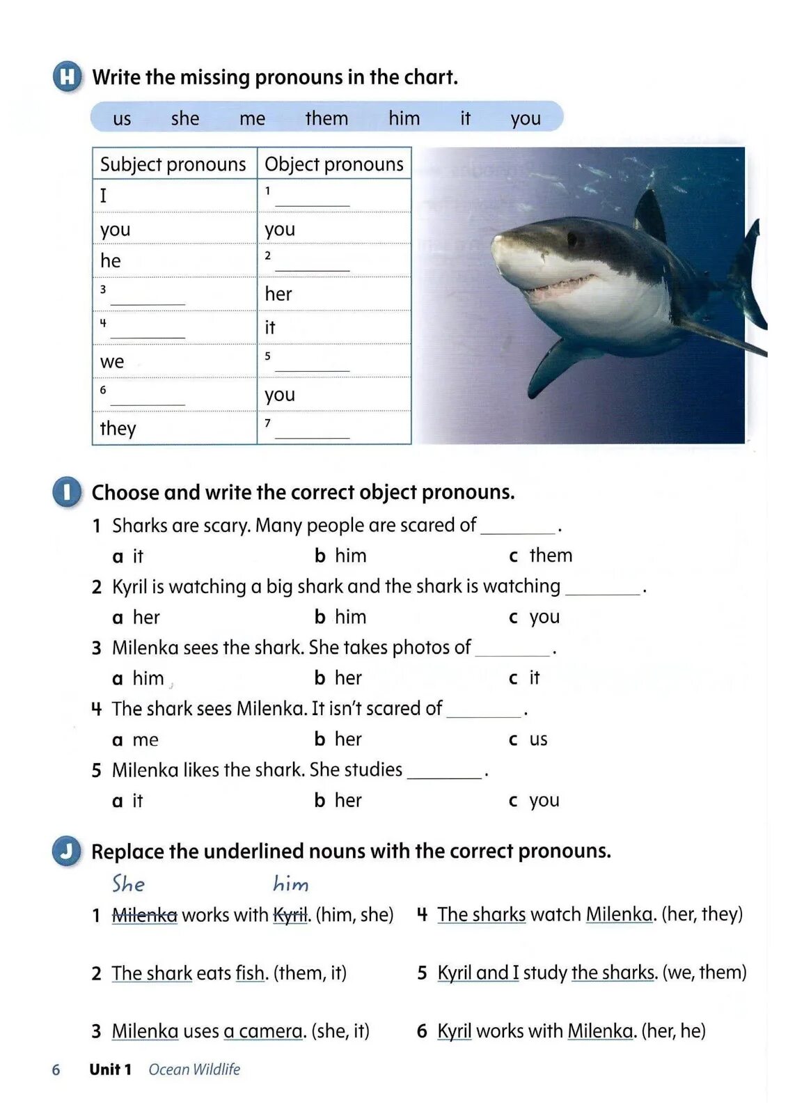 Fill in correct object pronoun. Oxford discover 2 worksheet. shark in the park worksheets. substitute the underlined words with object pronouns.