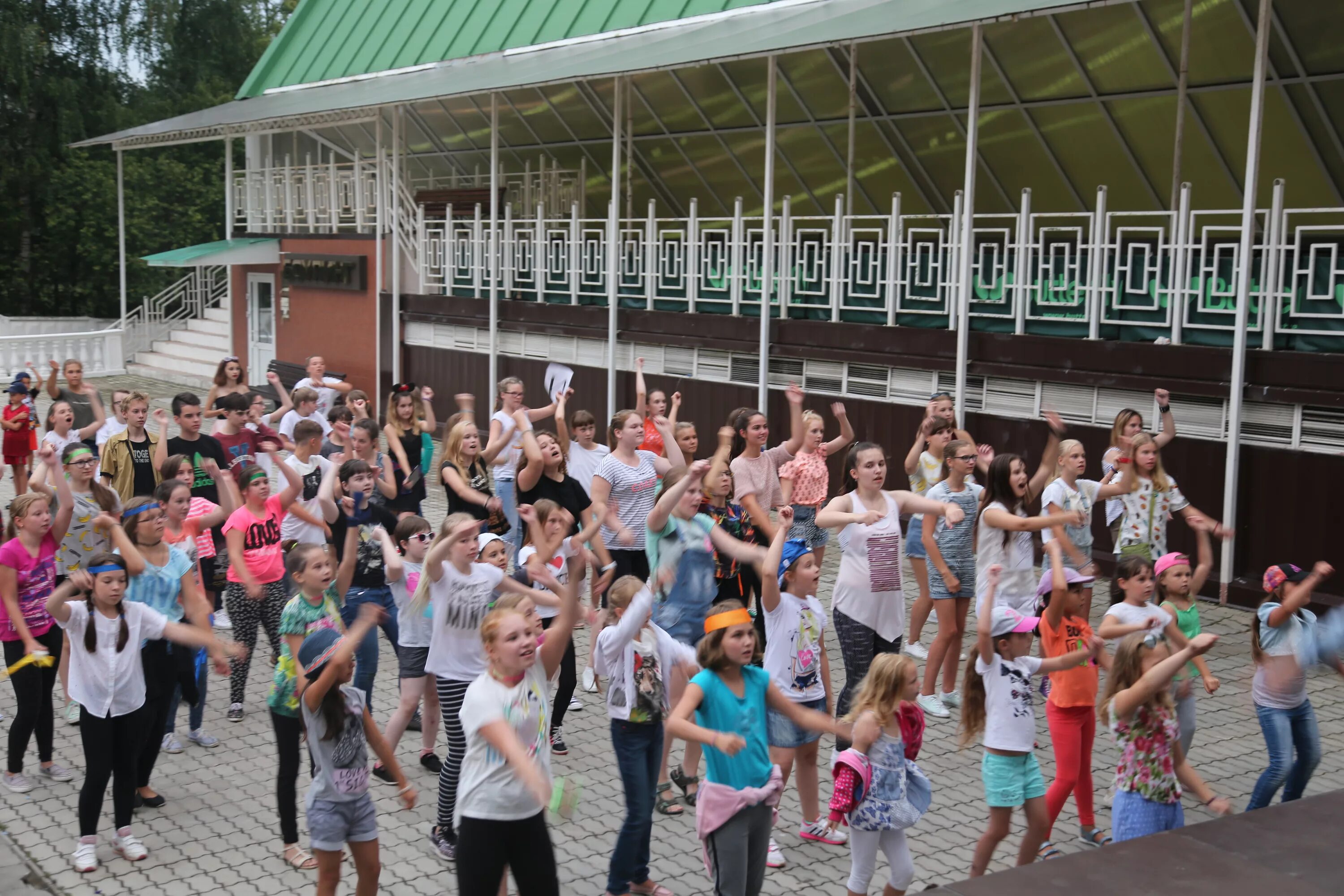 Top camp. Академия звёзд лагерь Подмосковье. Лагерь Академия звезд в Истре. Детский лагерь красная гвоздика Истринский район.