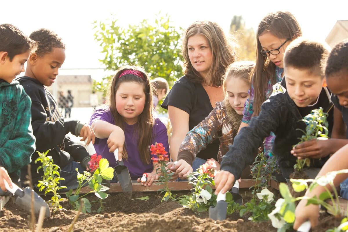 Community. Community фото. Primary community. Детские комьюнити фото.