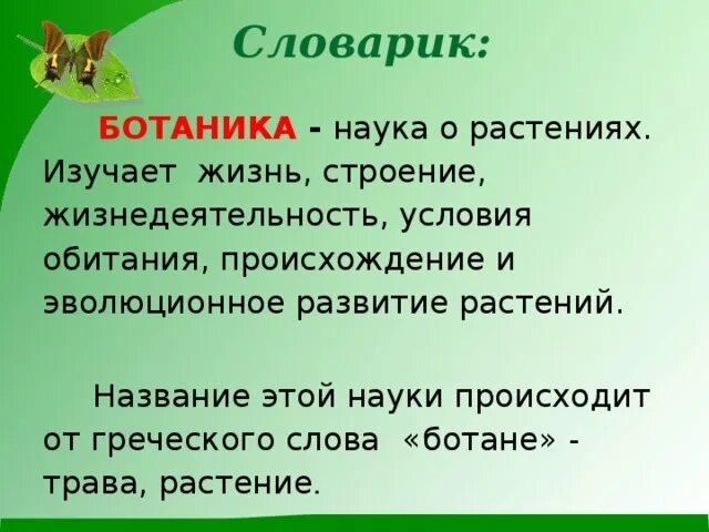 Как называется наука изучающая жизнь. Наука о растениях. ботаника это наука изучающая. ботаника как наука о растениях. ботаника изучает строение и жизнедеятельность.