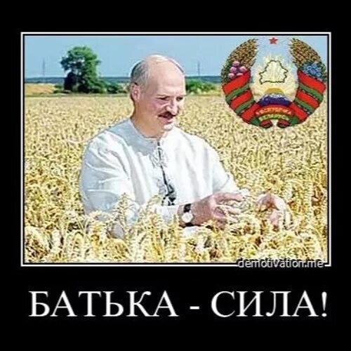 Батька у нас крутой слушать. Я батька Беларусь. За батьку Лукашенко. Картинки за батьку Лукашенко. Белорусы берегите батьку.