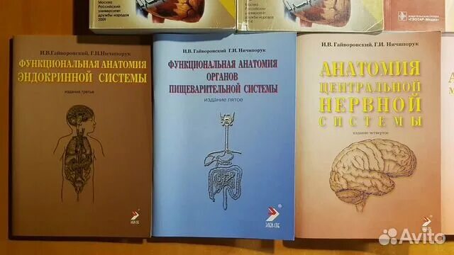 Методички по анатомии. Методички гайворонского по анатомии. книга методички анатомия. гайдаровский методички по анатомии.