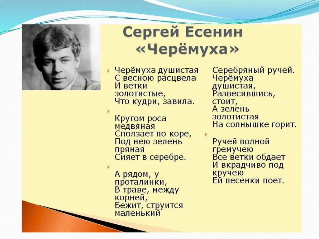 Хи Есенина. Есенин с. "стихотворения". 3 Стихотворения Есенина. 5 любых стихотворений