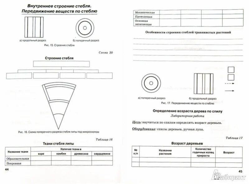 Биология 5 класс рабочая тетрадь стр 92. Рабочая тетрадь по биологии 5 класс Трайтак. Биология 5 класс д.и Трайтак таблица ткани растения.